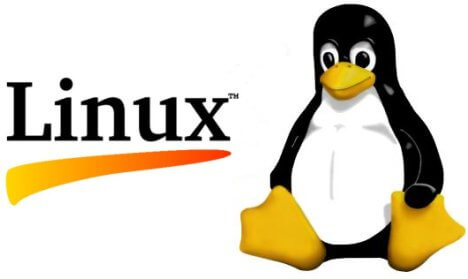 You could lose your warranty by installing Linux on your computer
