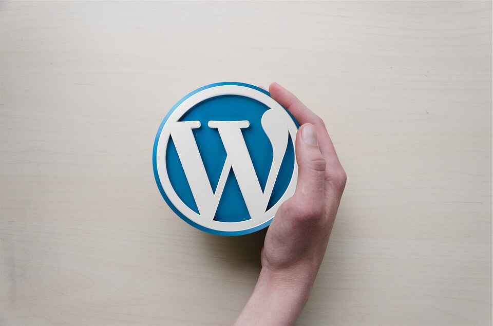 How To Install Wordpress On A Domain - The Beginner Guide