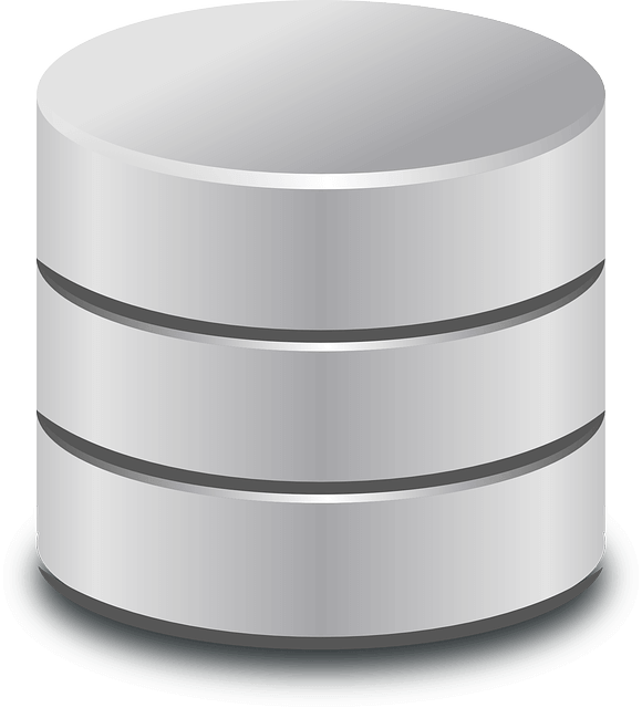 Future Of Database Management: NoSQL And NewSQL